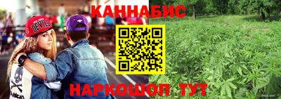 гидропоника Пушкино