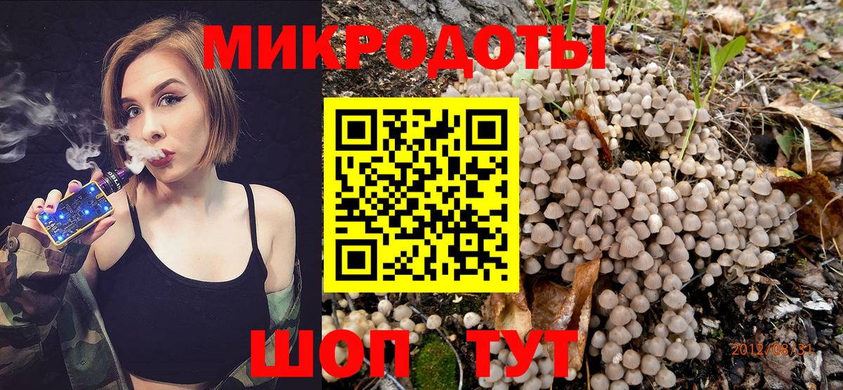 Псилоцибиновые грибы Psilocybe  Вход с VPN  Солнечногорск 
