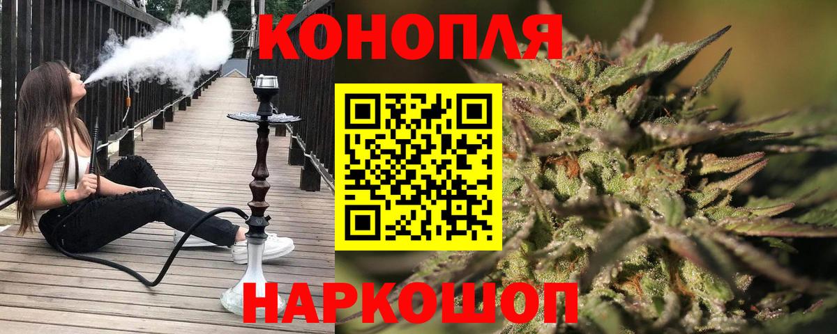 Шишки марихуана планчик Солнечногорск